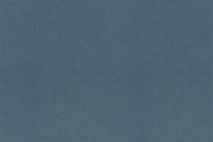 F76070 F8689 Fabric blue